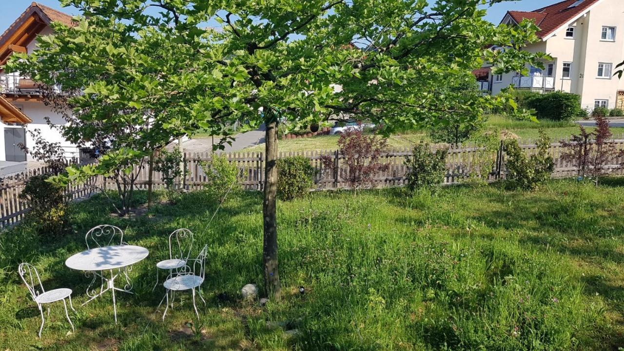 Historisches Fachwerkhaus "Hoher Hirschen" - Stilvolles Studio Und Museales Apartment Mit Romantischem Hof Und Garten Bodman-Ludwigshafen Buitenkant foto