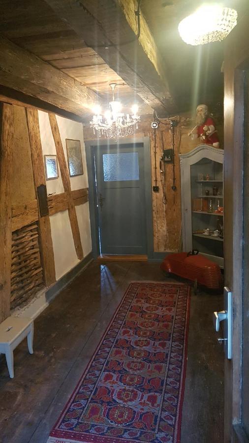 Historisches Fachwerkhaus "Hoher Hirschen" - Stilvolles Studio Und Museales Apartment Mit Romantischem Hof Und Garten Bodman-Ludwigshafen Buitenkant foto